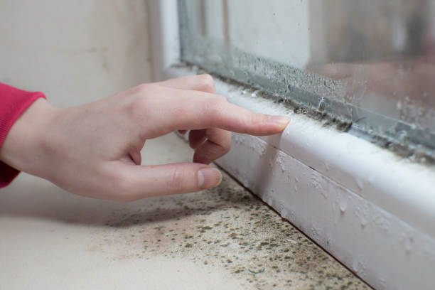 Best Mold-Related Health Consultation  in Lilburn, GA