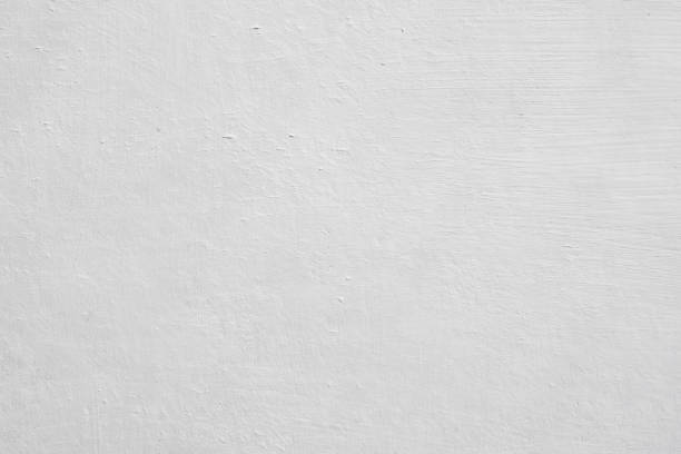 Lilburn, GA Mold Removal Pros