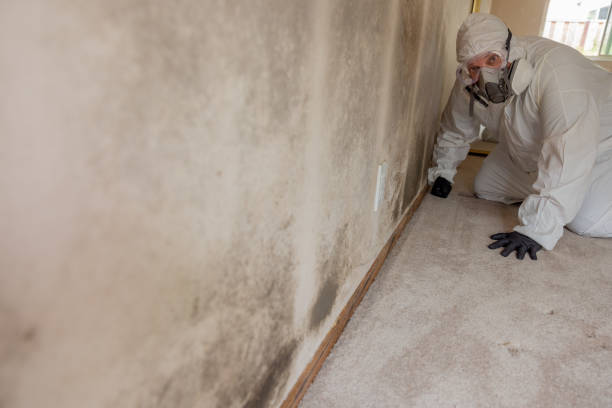 Best Post-Remediation Verification Testing  in Lilburn, GA